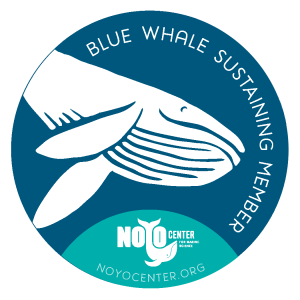 Blue Whale Decal