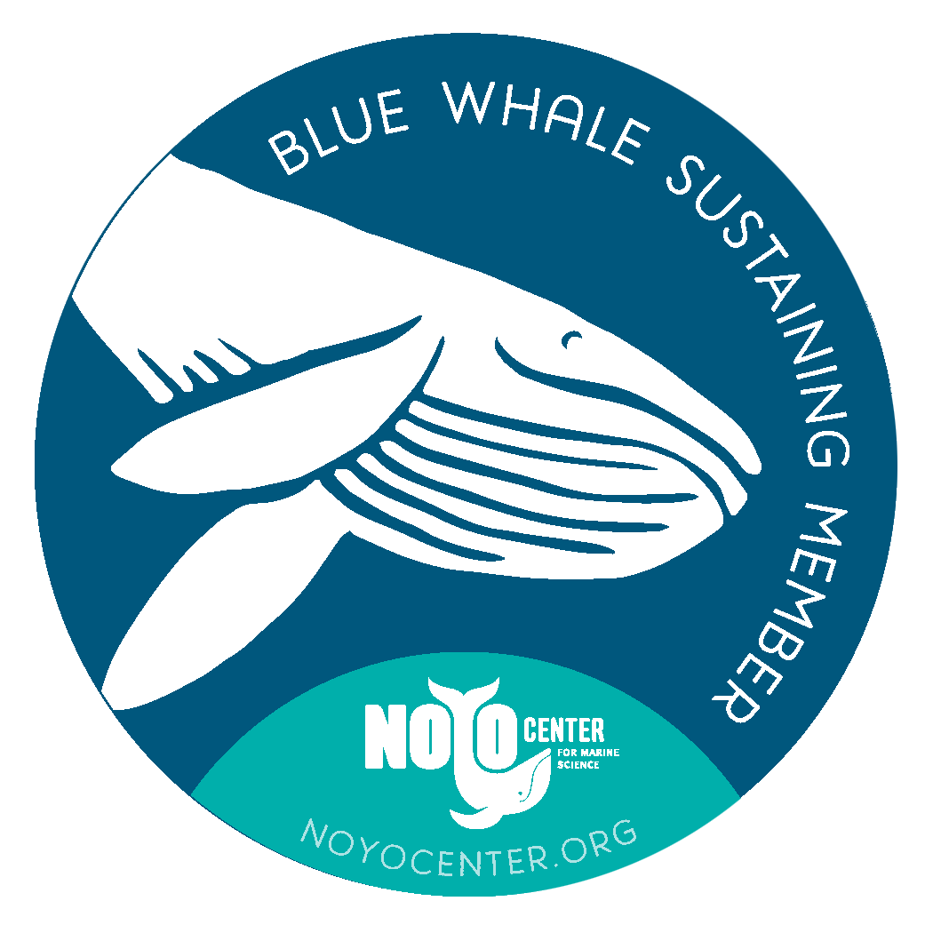 Blue Whale Sustaining Membership