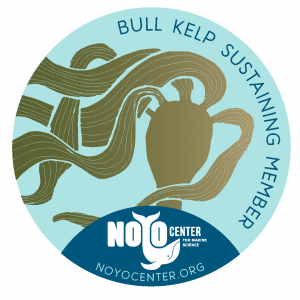 Bull Kelp Decal