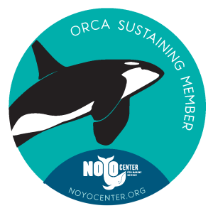 Orca Decal