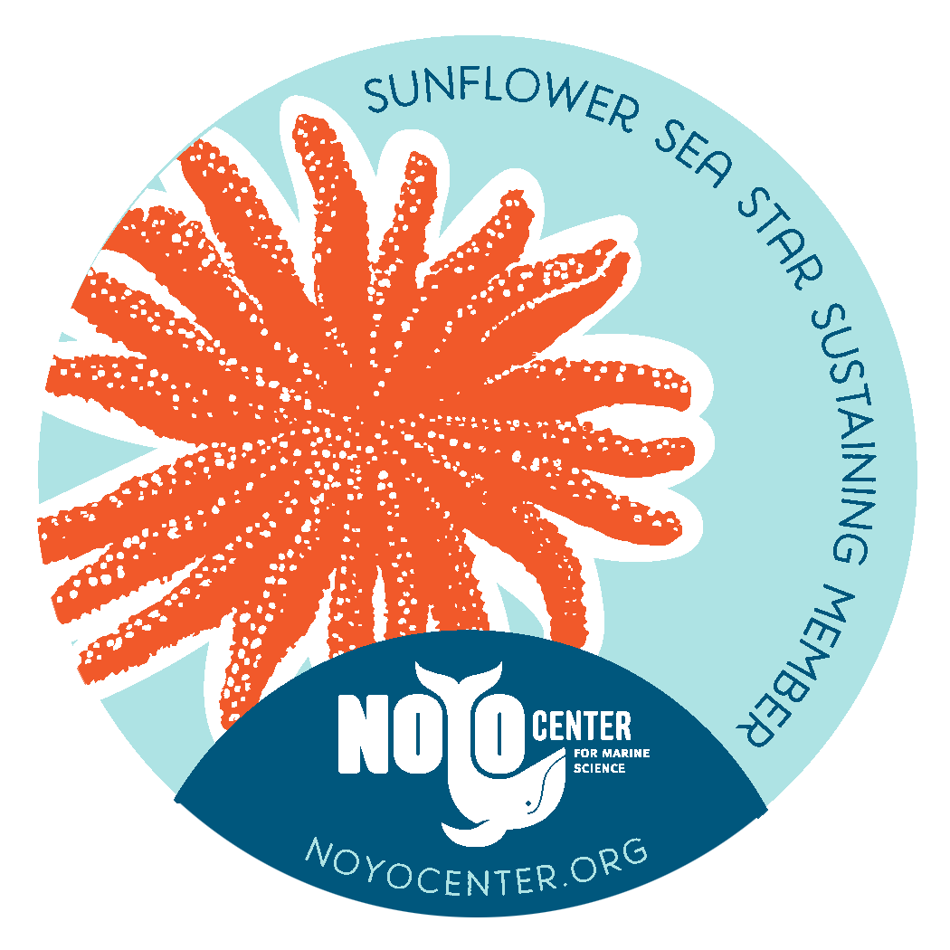 Sunflower Sea Star Sustaining Membership