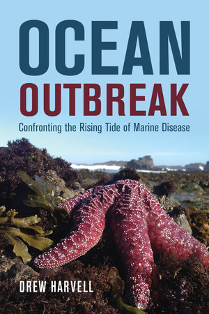 Ocean Outbreak Sea Star Book