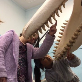 students looking a gift killer whale in the mouth